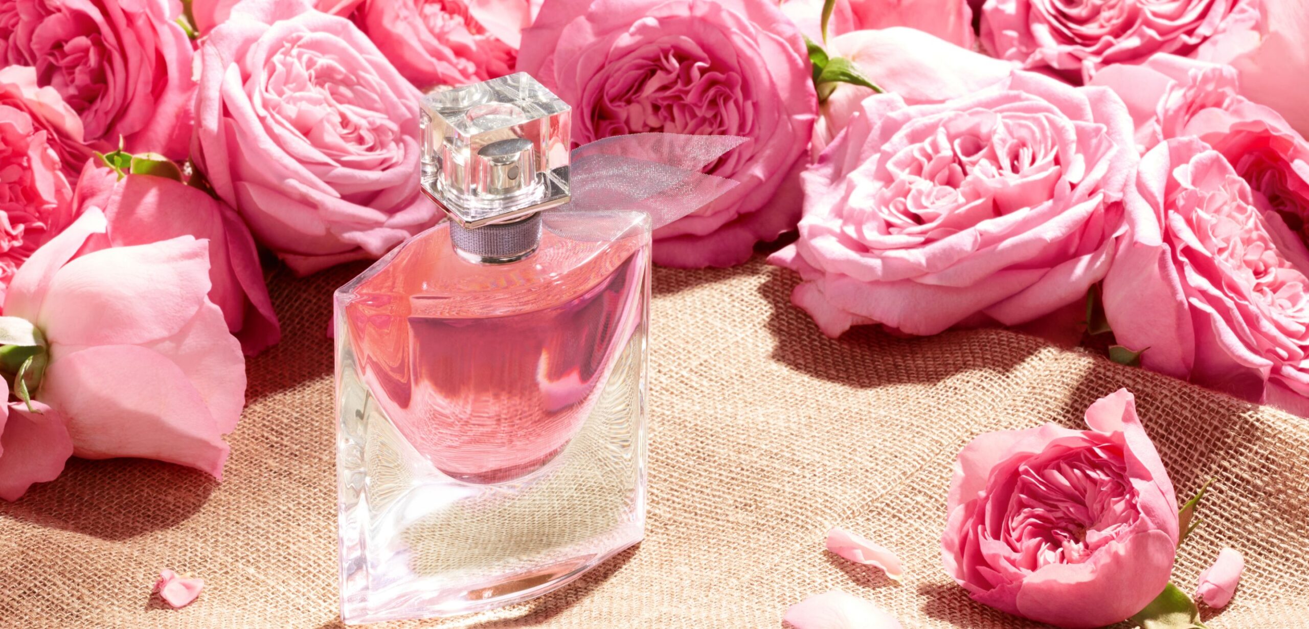 Lancôme entrusts agency KNR with the development of its Happiness campaign